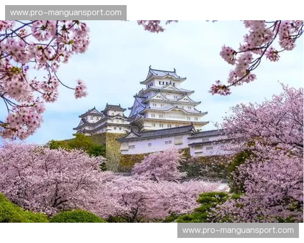 樱舞赛场，风起云涌——大阪樱花与赞岐的绿茵对决